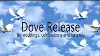 Local Business Laramie Lofts Dove Releases in Peoria IL