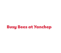 Busy Bees at Yanchep