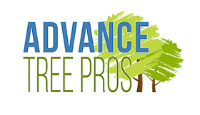 Local Business Advance Tree Pros in Orlando FL