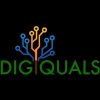 DigiQuals - Digital Marketing Company, Graphic Designing, Website Development Agency in Lucknow - India