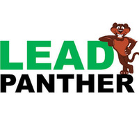 Lead Panther | Best Website Design company in Noida