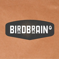 Local Businesses BirdBrain in Darlinghurst NSW