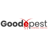 Local Business Goode Wasp Removal Canberra in Reid ACT