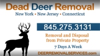 Local Business Dead Deer Removal in Suffern NY