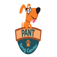 Local Business PANT Dog Center in Philadelphia PA