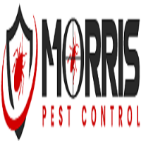 Local Business Morris Possum Removal Canberra in Ainslie ACT