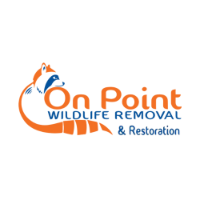 On Point Wildlife Removal