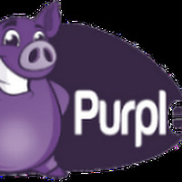 Purple Pig