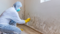 Cut Off Mold Inspections