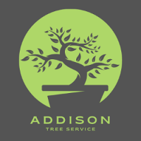 Addison Tree Service