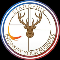 Stagoenix Digital Marketing & Brand Promotion Company