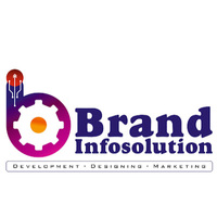 BRAND INFOSOLUTION- Web Development Company in Mansarovar, Jaipur