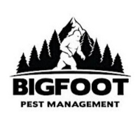 Local Business Bigfoot Pest Management LLC in Olympia WA