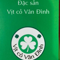 Vịt Vân Đình