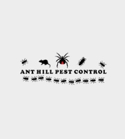Ant hill pest control