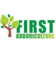Local Business First Arb Tree Surgeons in Southampton England