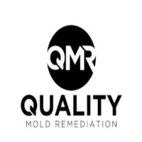 Local Business Quality Mold Remediation of Houston in Houston TX