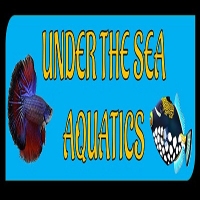Under the Sea Aquatics | Fish Store | Fish Tanks | Freshwater & Saltwater Fish