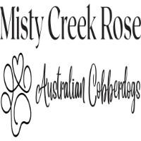 Misty Creek Rose Australian Cobberdogs