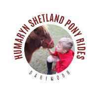 Local Business Humaryn Shetland Pony Rides in Newton Abbot England
