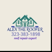 Alex the roof repair expert