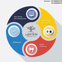 Local Businesses Callstem Software LLP in Ludhiana PB