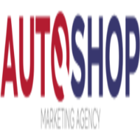 Auto Shop Experts
