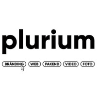 Plurium Disain - Logo kujundus