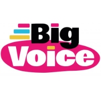 Local Business Big Voice Ltd in Milton Keynes England