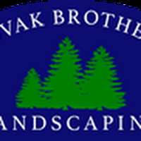 novakbrotherslandscaping.com