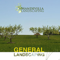 Local Businesses Mandevilla Landscaping in East Hampton NY