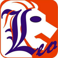 Local Businesses LEO Software Private Limited in Shimla HP