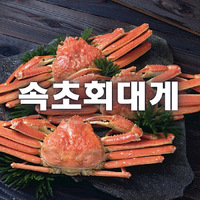 Local Businesses 속초회대게 in  North Gyeongsang Province