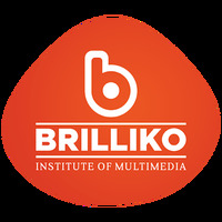 Brilliko Institute of Multimedia - Best Animation Course/VFX/Digital Marketing/Graphic Designing Course in Chandigarh