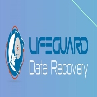 Local Business Lifeguard data recovery in Abu Dhabi Abu Dhabi