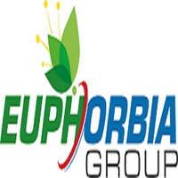 Local Businesses Euphorbia Group in Cotonou Littoral Department