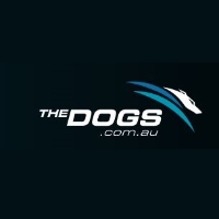 Greyhound Racing New South Wales