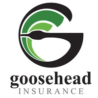 Local Business Service Provider Goosehead Insurance - Brad Lindley in Covington LA