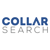 Local Business COLLAR SEARCH in Noida UP