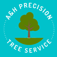 Local Business A&H Precision Tree Service, LLC in New Bern 