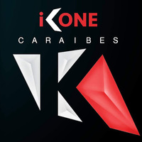 Local Businesses IKONE Caraïbes in Baie-Mahault 