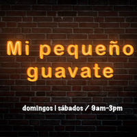 Mi Pequeño Guavate Food Truck