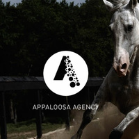 Appaloosa Agency