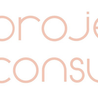 Project A Consulting