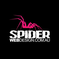 Spider Web Design