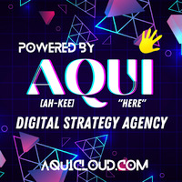 Local Businesses AQUI Digital Strategy in Louisville KY