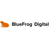 Local Businesses BlueFrog Digital | Digital Marketing Agency NZ in New Plymouth Taranaki Region