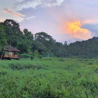 Jungle Retreat Wayanad