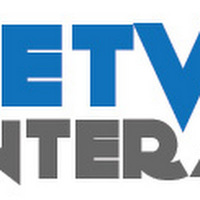 NetViper Interactive