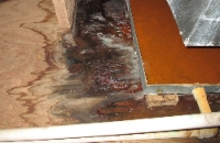 Local Business Mold Remediation Provo UT Solutions in Provo, UT 